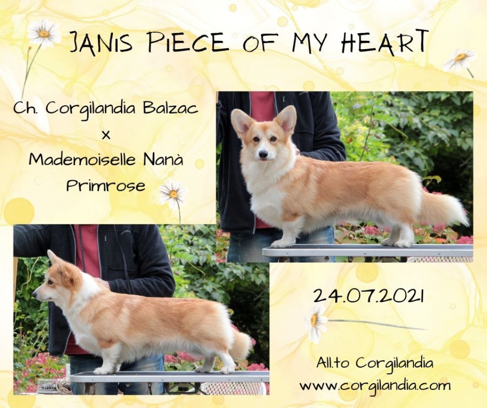 25/03/2023 - new entry - Janis (Janise Piece of My Heart)